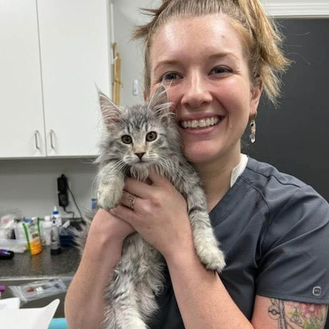 What to Expect When You Visit Best Friends Veterinary Hospital