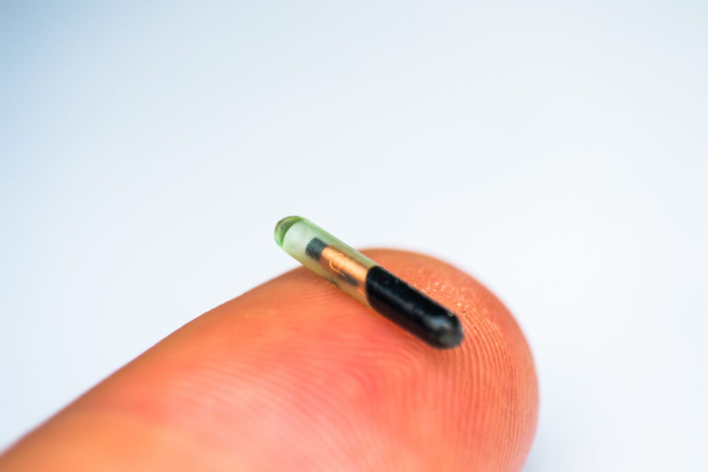 Close Up Photo Of A Microchip For Pets On Human Finger