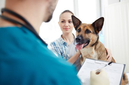 pet-owner-with-dog-at-vet-clinic