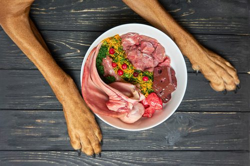 raw-dog-food-in-bowl-on-black-wooden-floor-with-dog's-paws-on-either-side