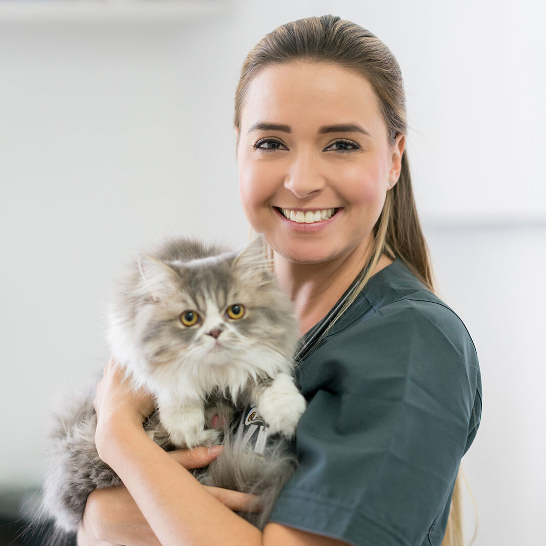 Young Vet Holding Cat