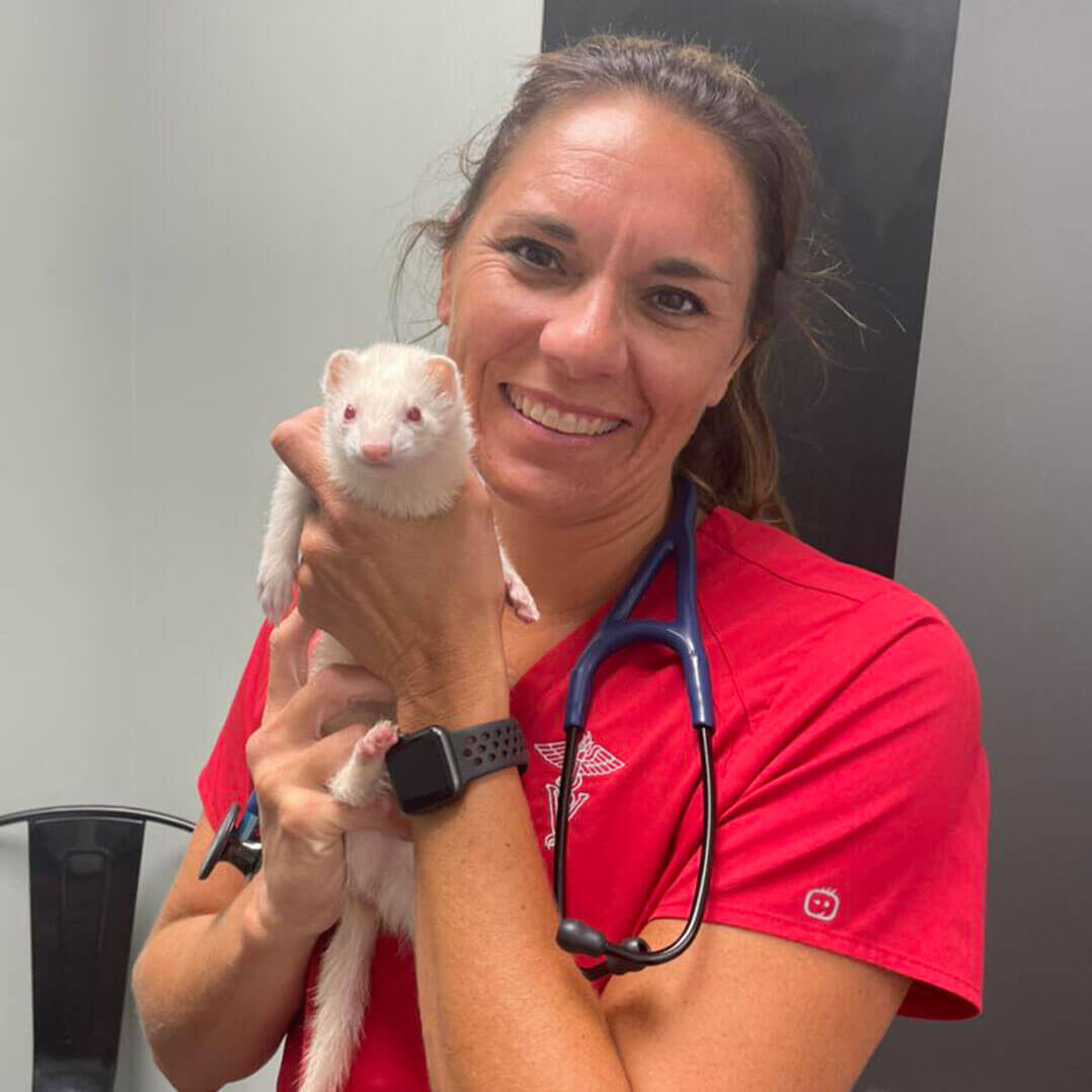 Dr Holding Ferret