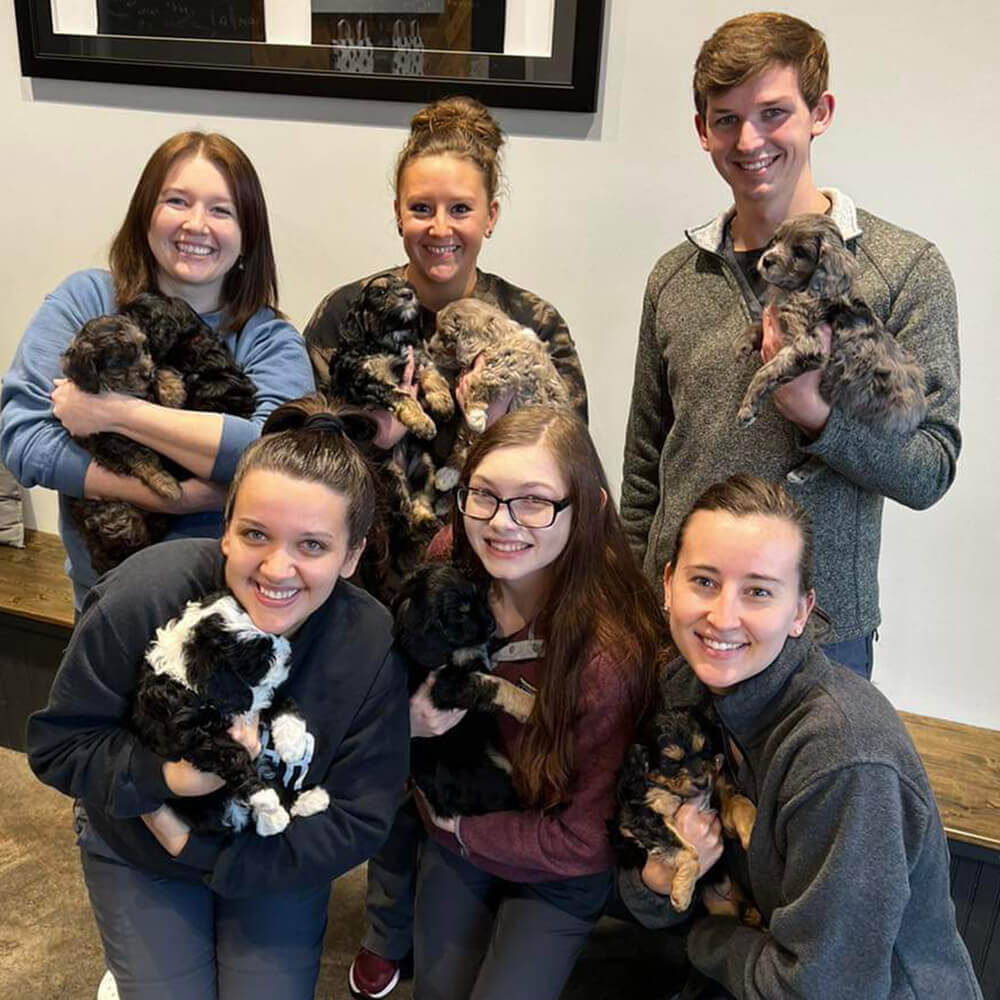 Veterinarians Cookeville Tn Best Friends Vet Hub team pictured holding animals